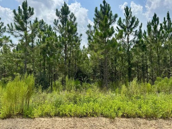 NW 49TH TRAIL, Jasper, FL 32052