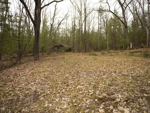 Bailey Street NE, Kalkaska, MI 49646
