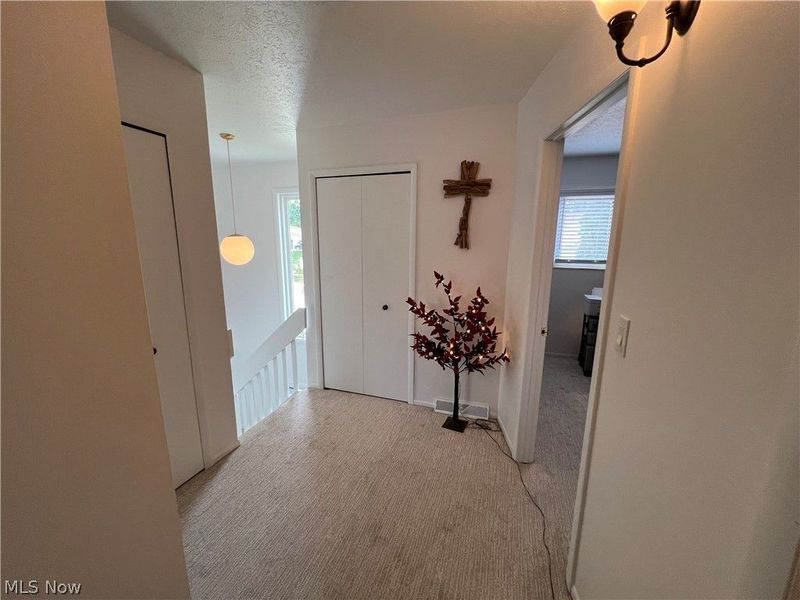 244 Deepwood Drive, Wadsworth, OH 44281 Photo 18