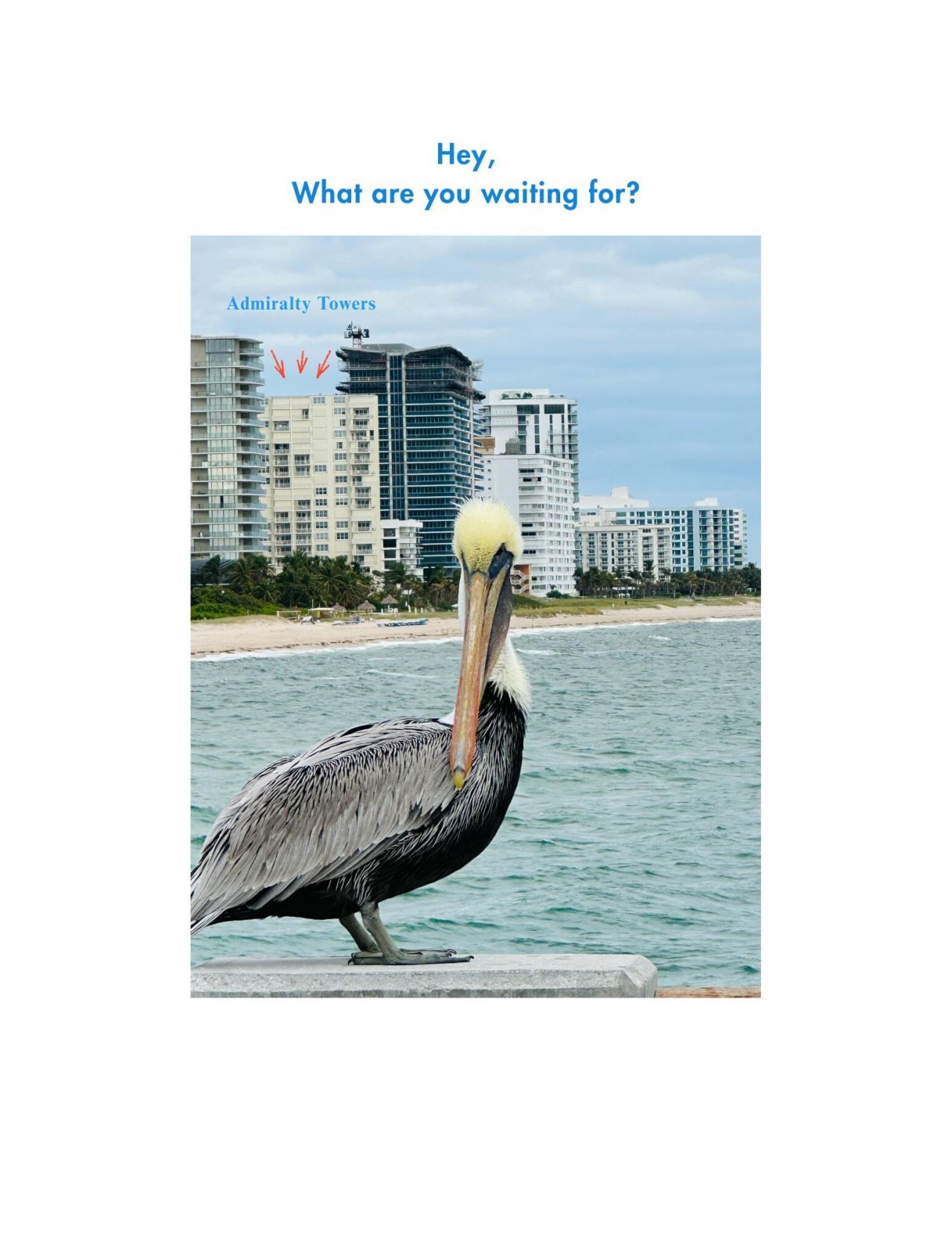 750 N Ocean Boulevard, Unit 1202, Pompano Beach, FL 33062 Photo