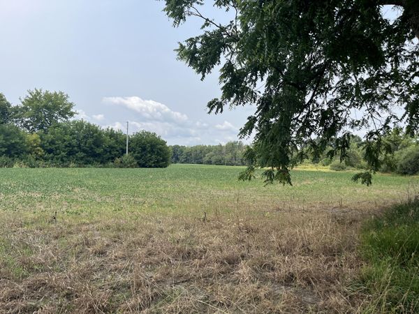 2047 190th Avenue, Morley, MI 49336