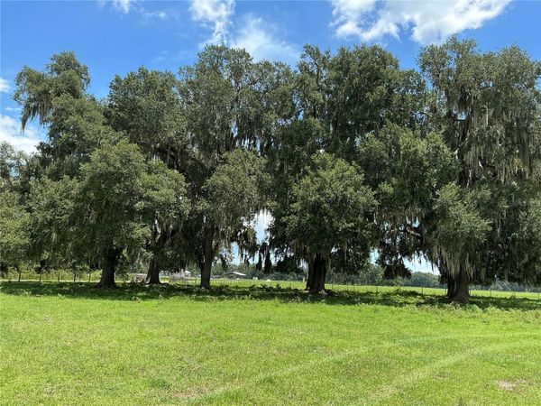 CR 755 , WEBSTER, FL 33597