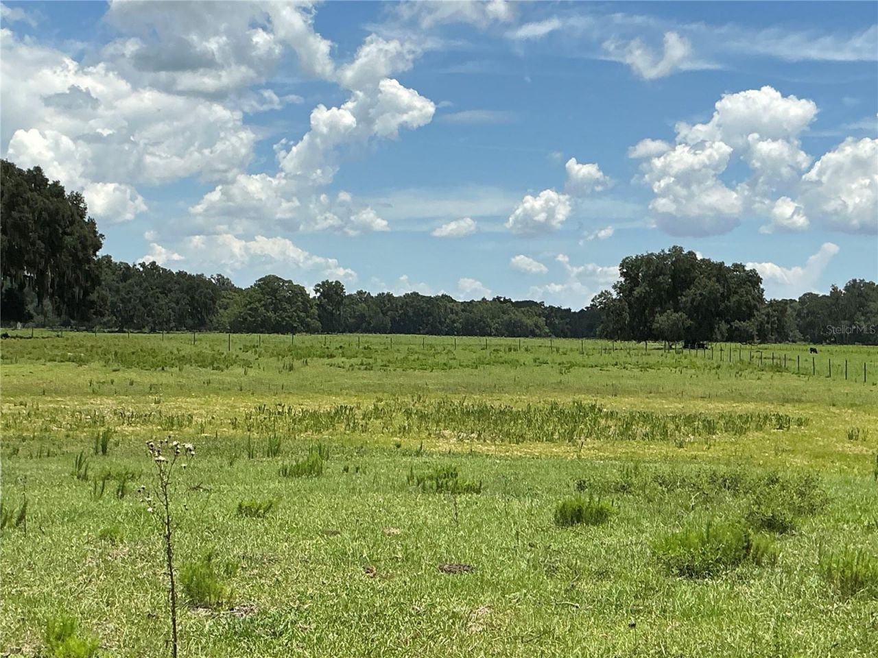 Cr 755, Webster, FL 33597 Photo