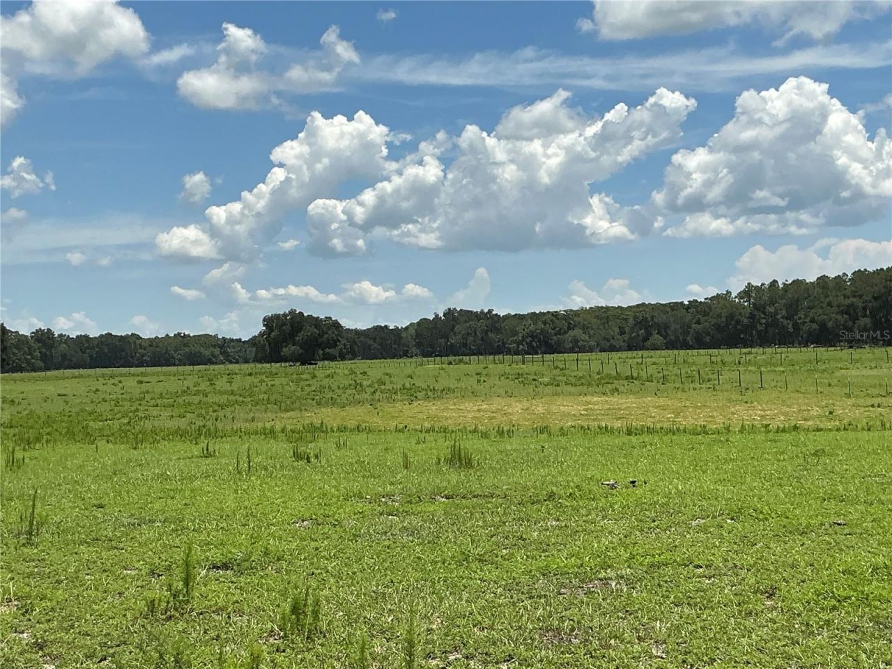 Cr 755, Webster, FL 33597 Photo