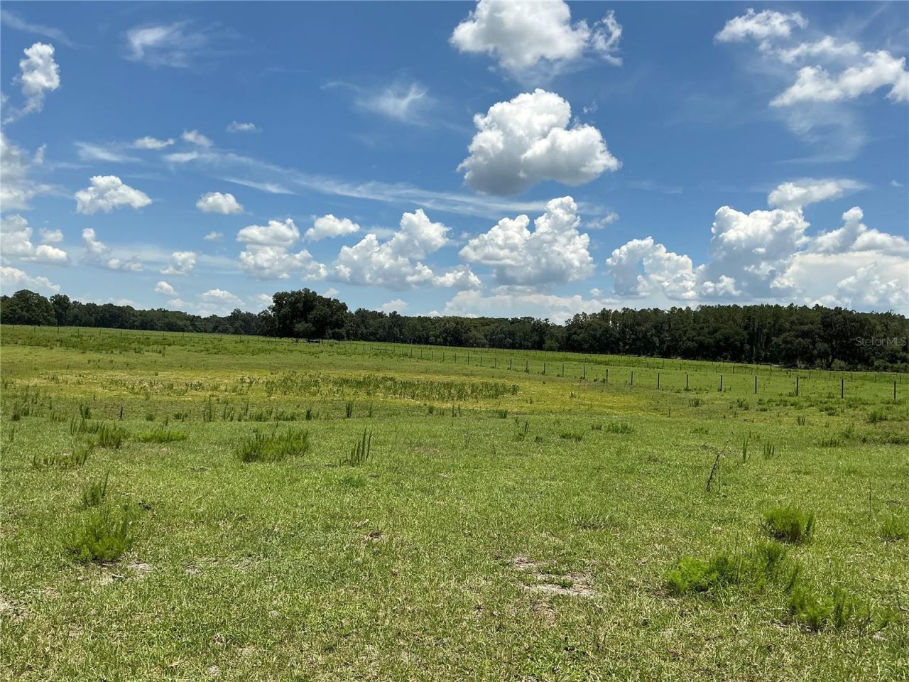 Cr 755, Webster, FL 33597 Photo