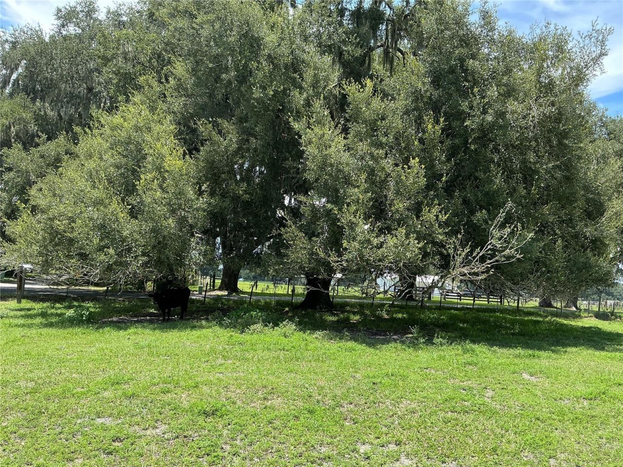 Cr 755, Webster, FL 33597 Photo