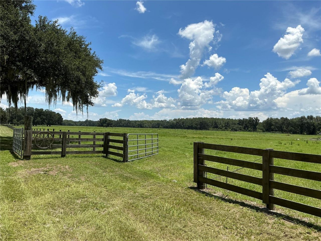 Cr 755, Webster, FL 33597 Photo
