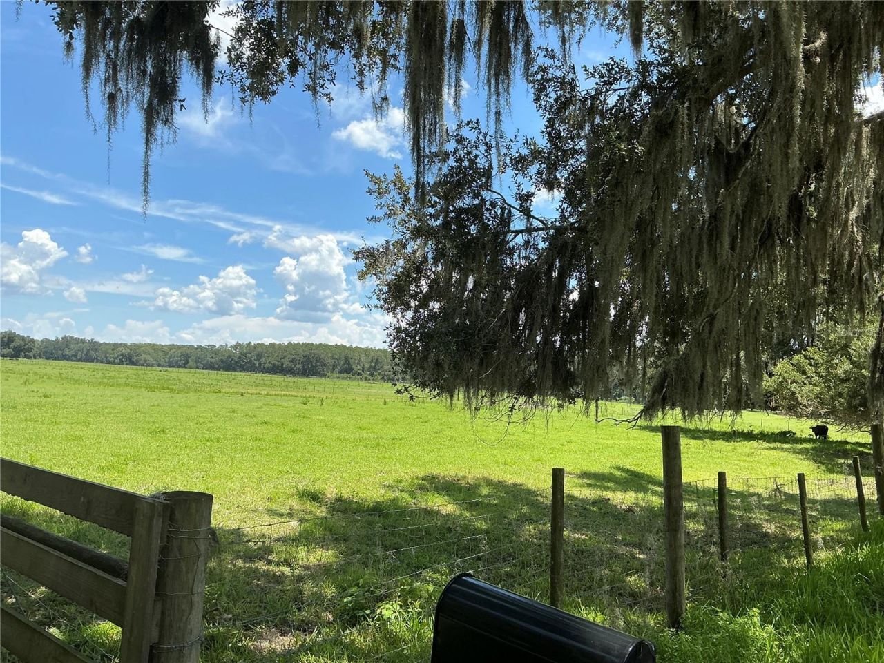 Cr 755, Webster, FL 33597 Photo