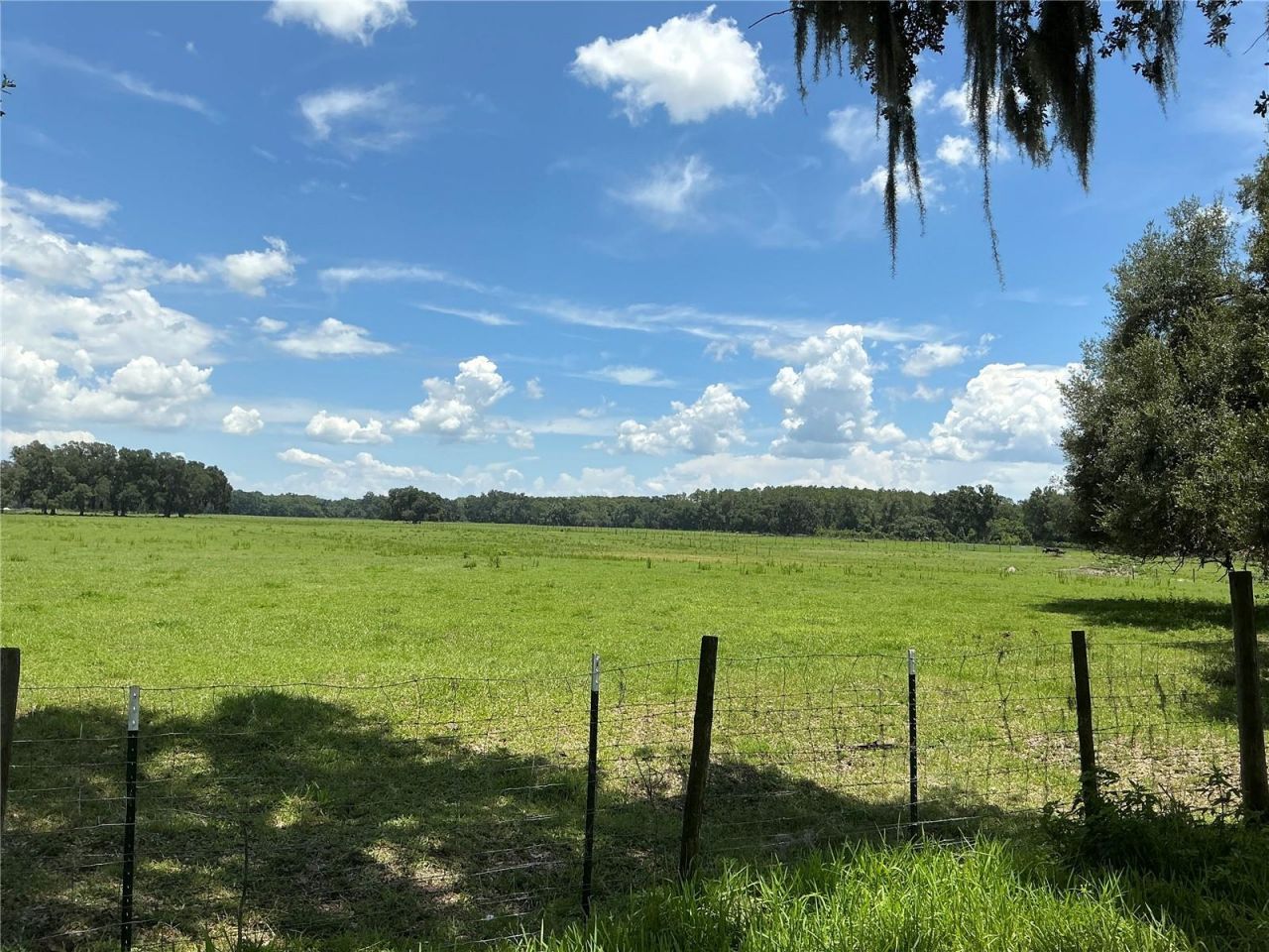 Cr 755, Webster, FL 33597 Photo