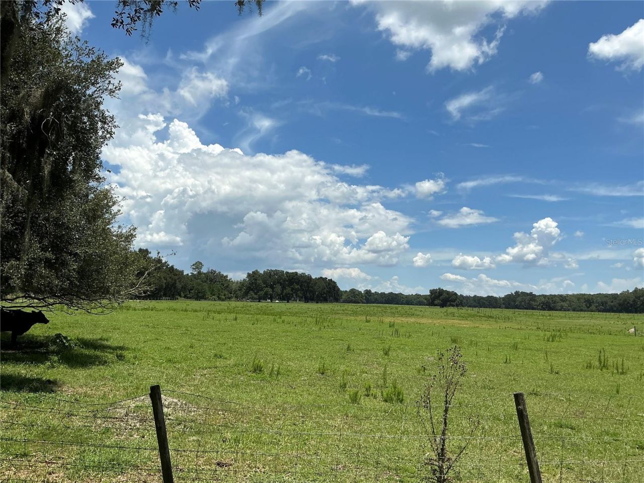 Cr 755, Webster, FL 33597 Photo