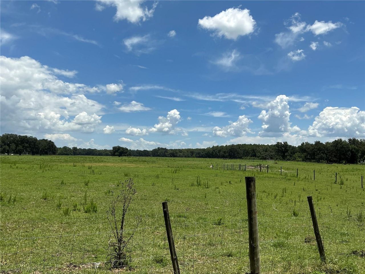Cr 755, Webster, FL 33597 Photo
