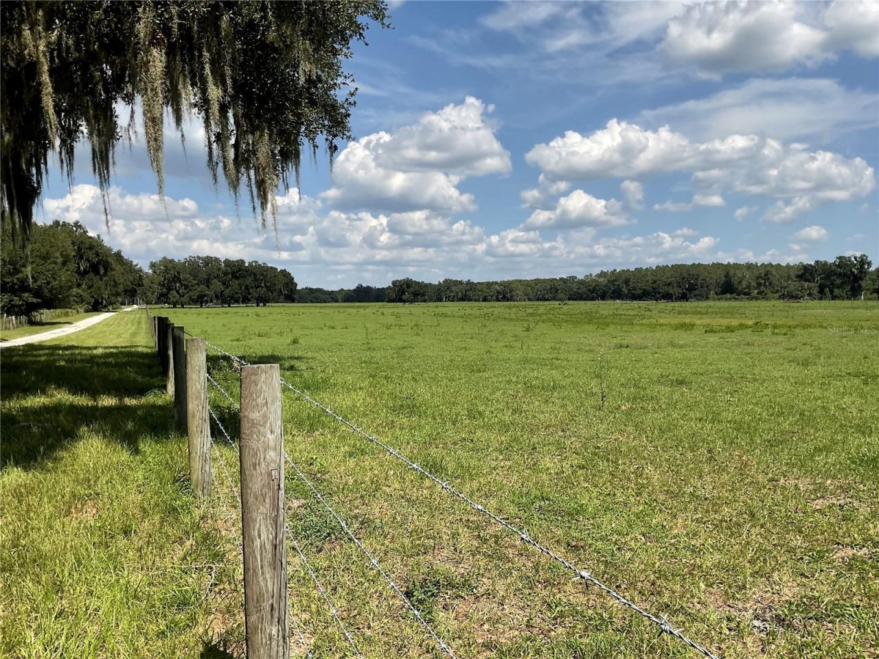 Cr 755, Webster, FL 33597 Photo