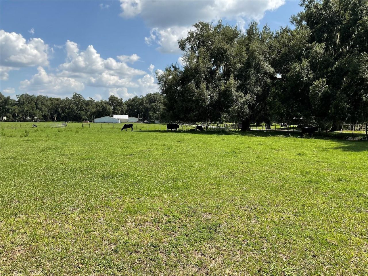 Cr 755, Webster, FL 33597 Photo
