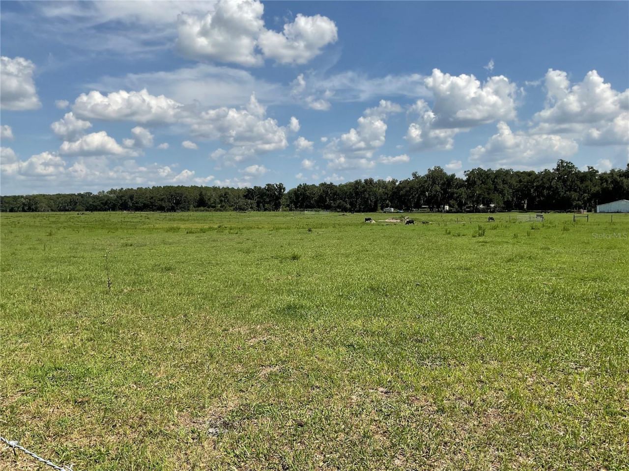 Cr 755, Webster, FL 33597 Photo