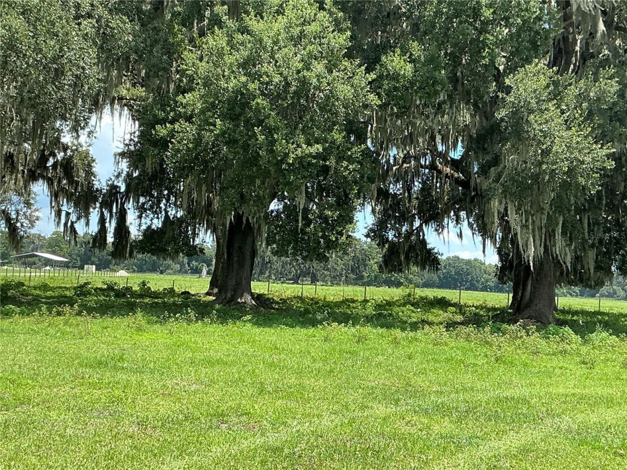 Cr 755, Webster, FL 33597 Photo