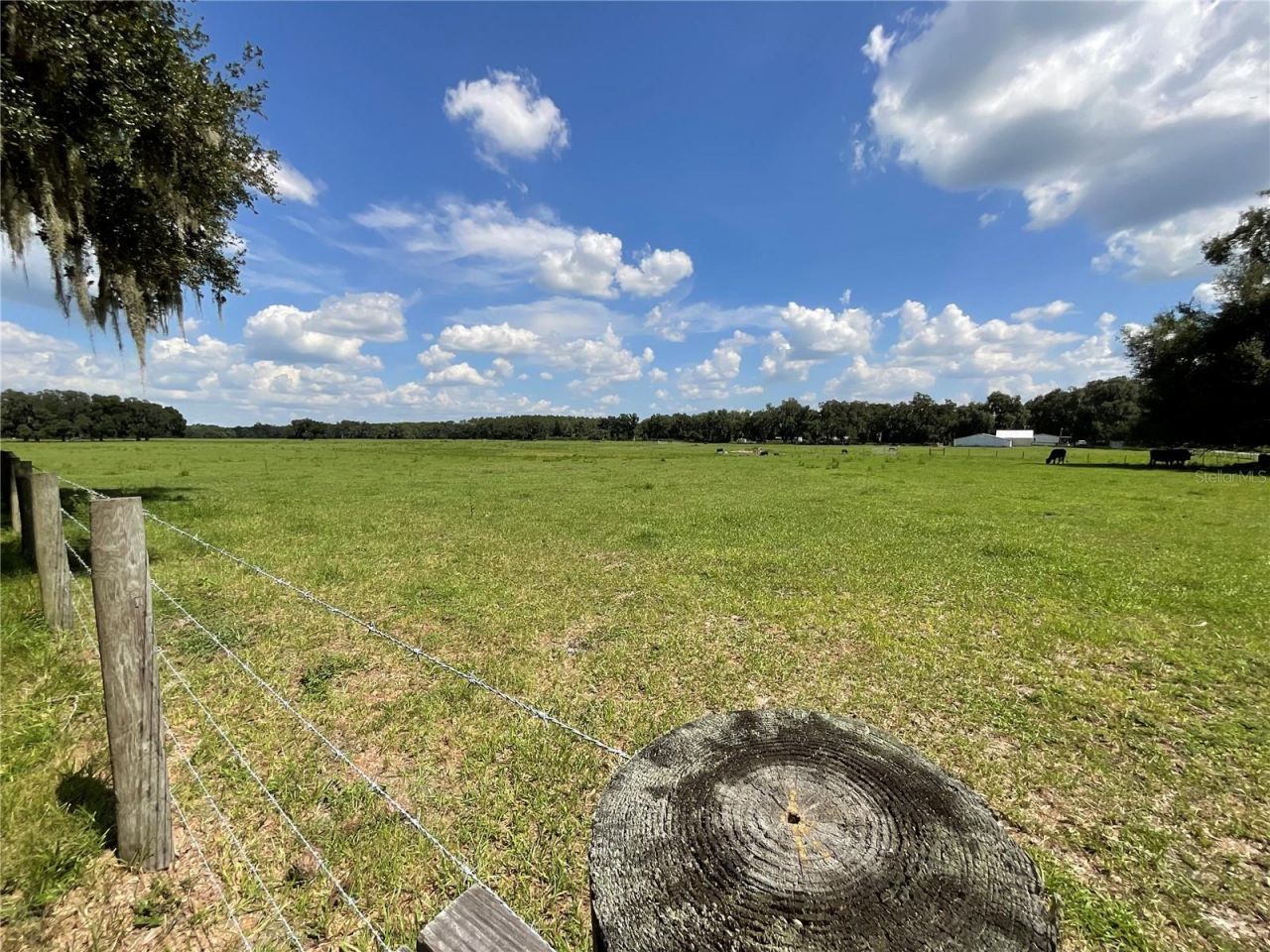 Cr 755, Webster, FL 33597 Photo
