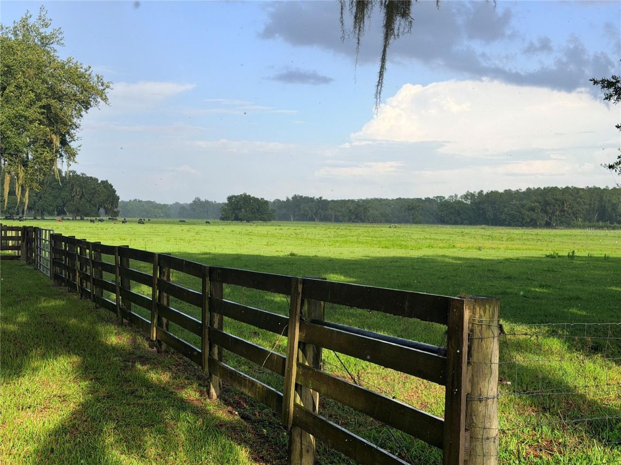 Cr 755, Webster, FL 33597 Photo