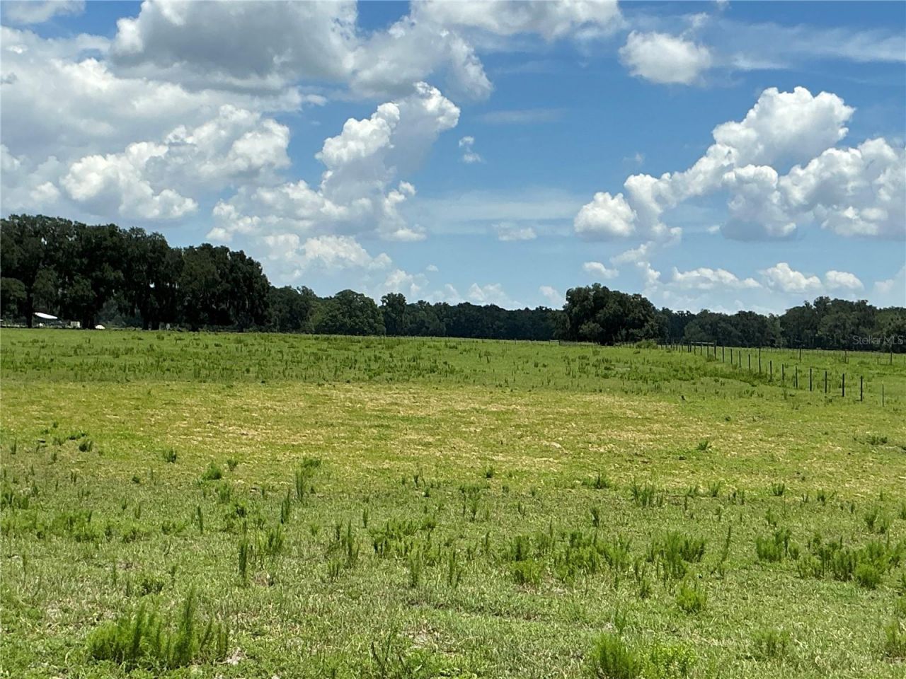 Cr 755, Webster, FL 33597 Photo