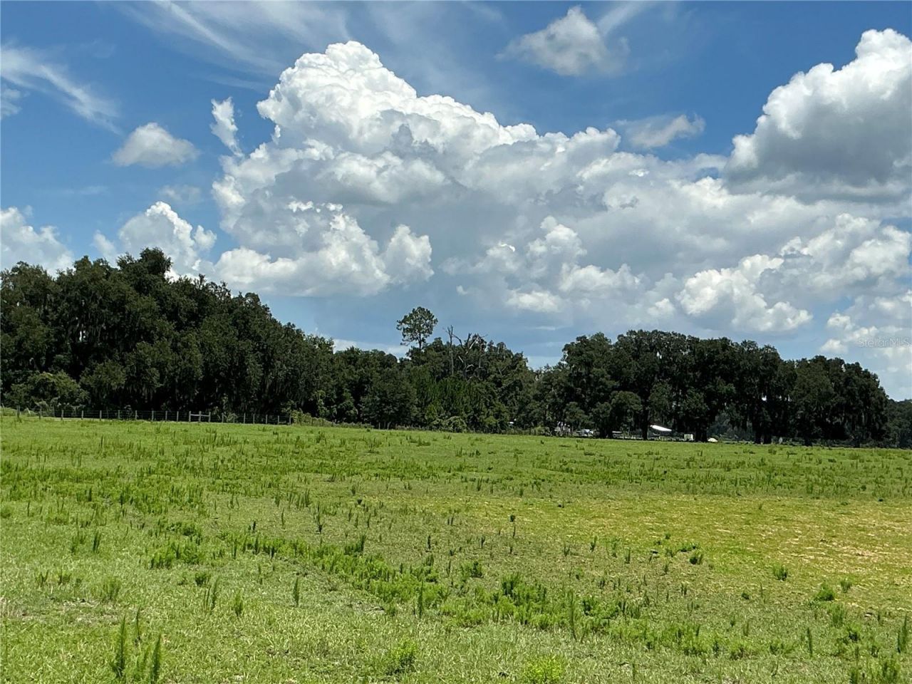 Cr 755, Webster, FL 33597 Photo