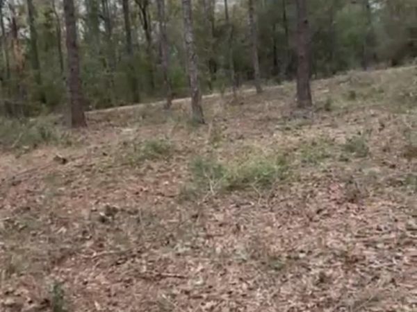 lot 28-29 E Black Cherry Drive, DeFuniak Springs, FL 32433