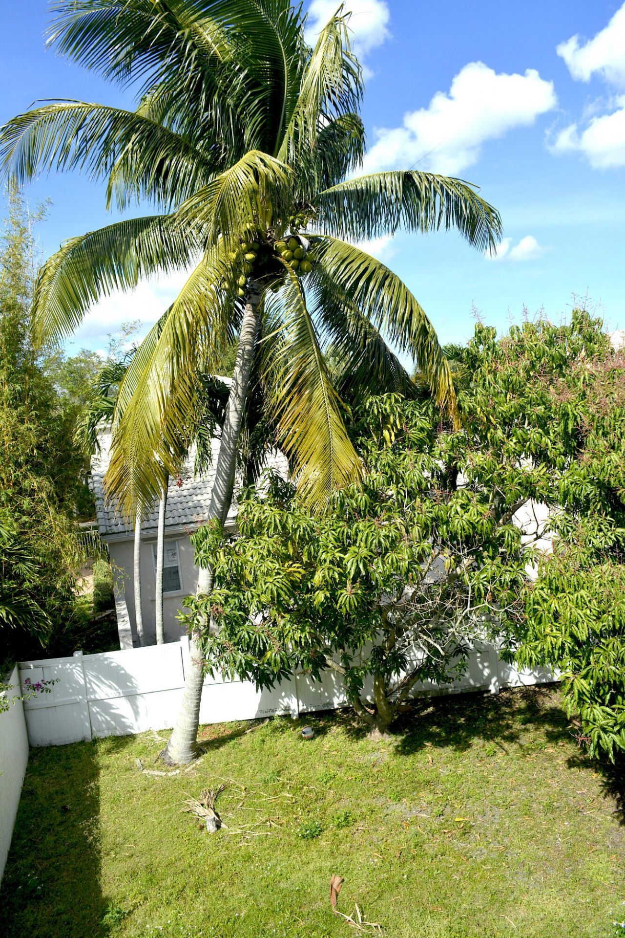 3003 Caffia Way, West Palm Beach, FL 33409 Photo
