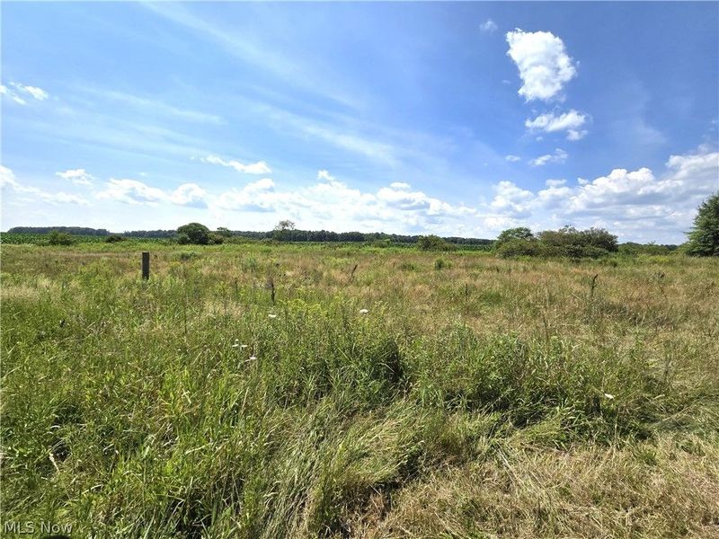8725 State Route 7, Williamsfield, OH 44093 Photo 23