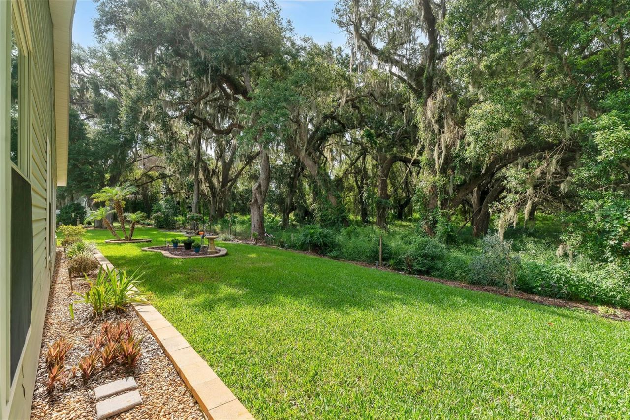 842 Old Oaks Lane, Leesburg, FL 34748 Photo