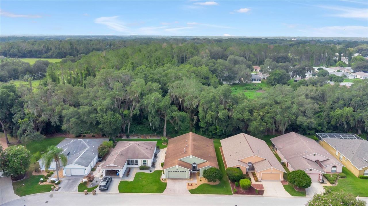 842 Old Oaks Lane, Leesburg, FL 34748 Photo