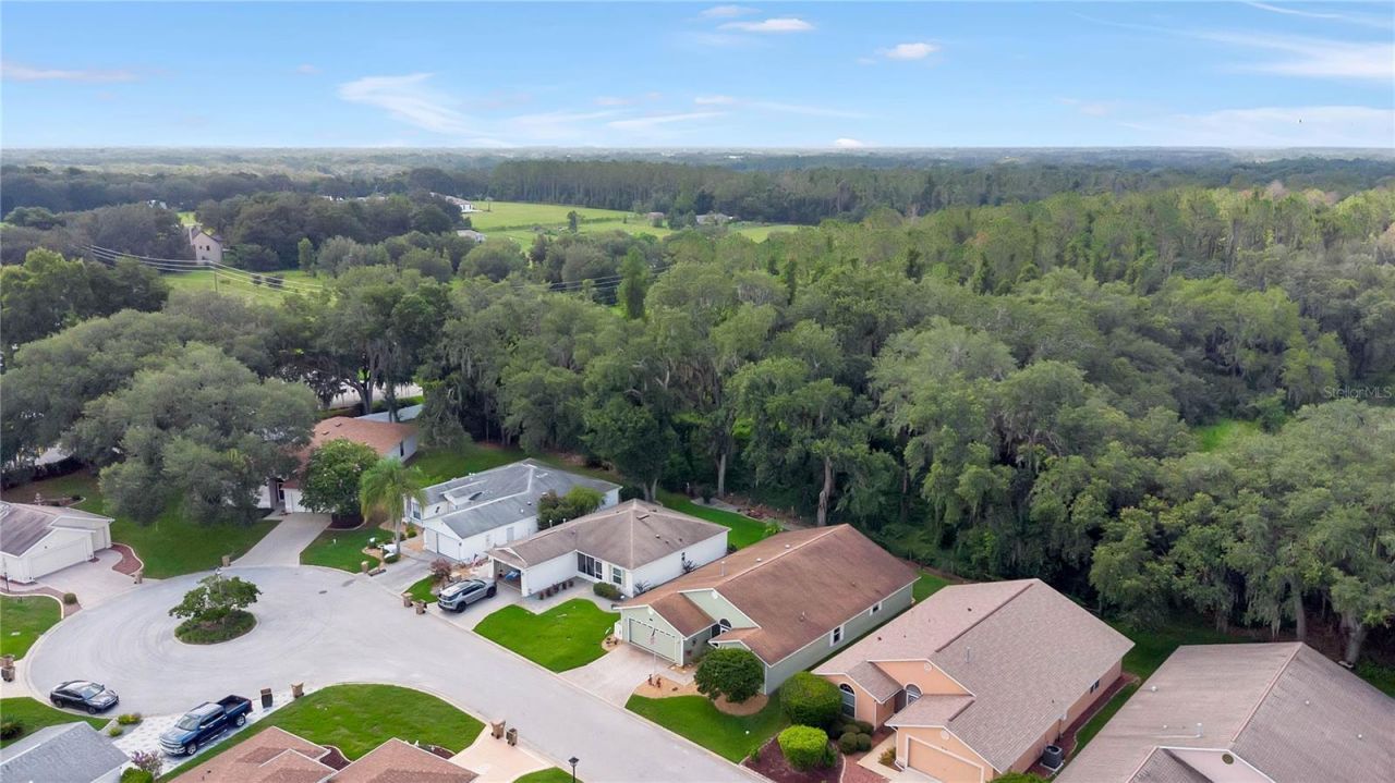 842 Old Oaks Lane, Leesburg, FL 34748 Photo