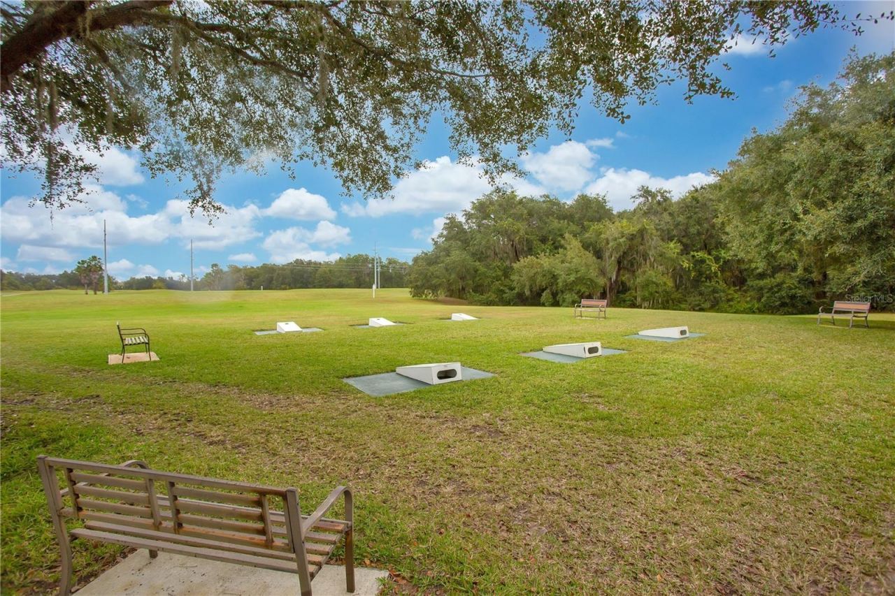 842 Old Oaks Lane, Leesburg, FL 34748 Photo