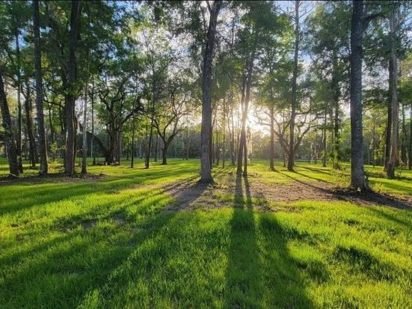 16545 NW 128TH TERRACE , REDDICK, FL 32686