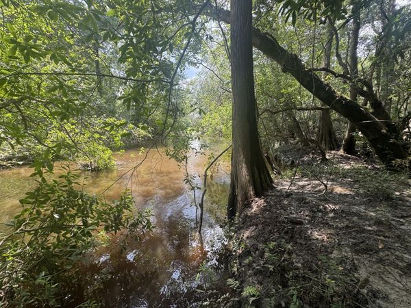 Lot 14 Plantation Lane, DeFuniak Springs, FL 32433