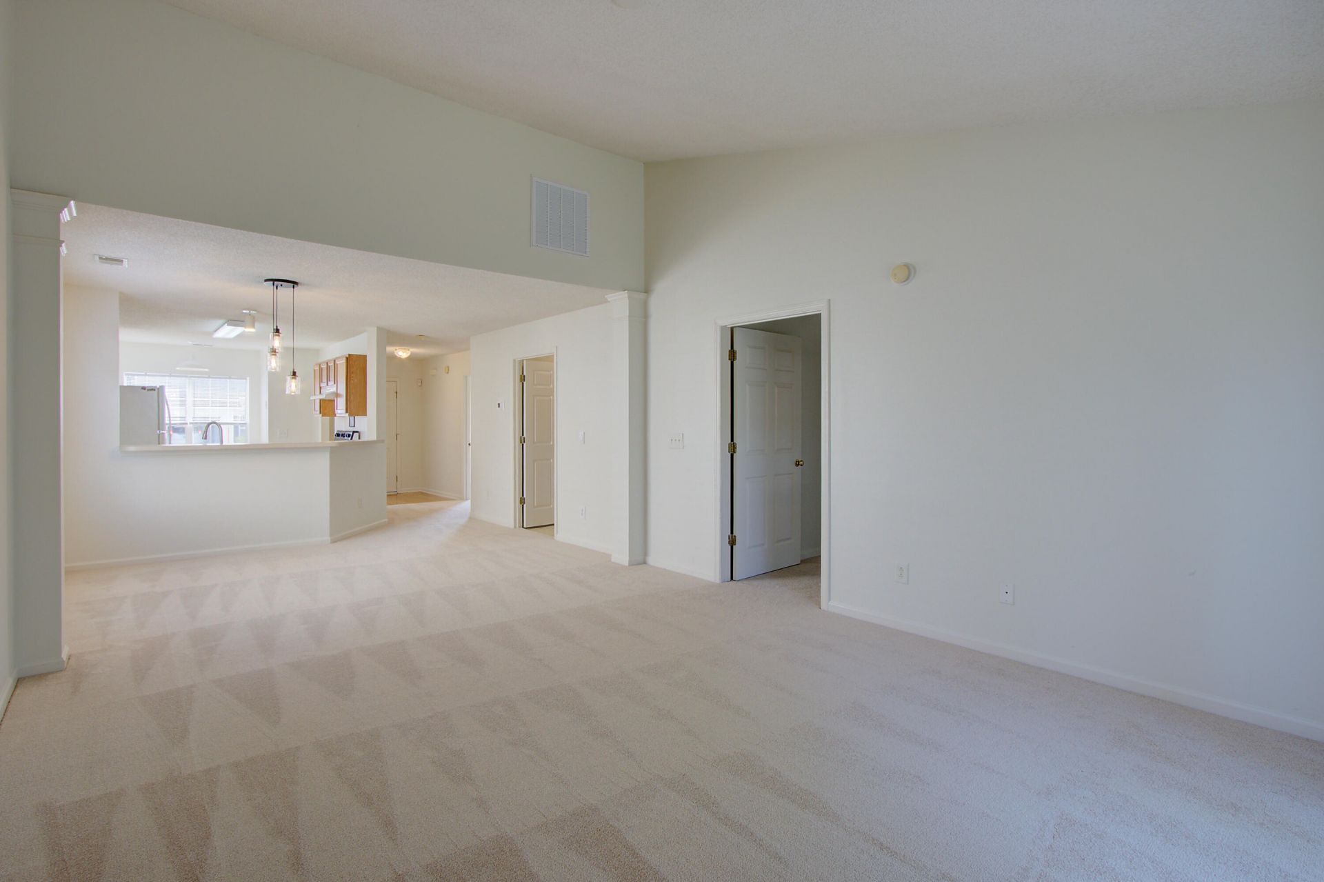 239 Dupont Way Photo 10