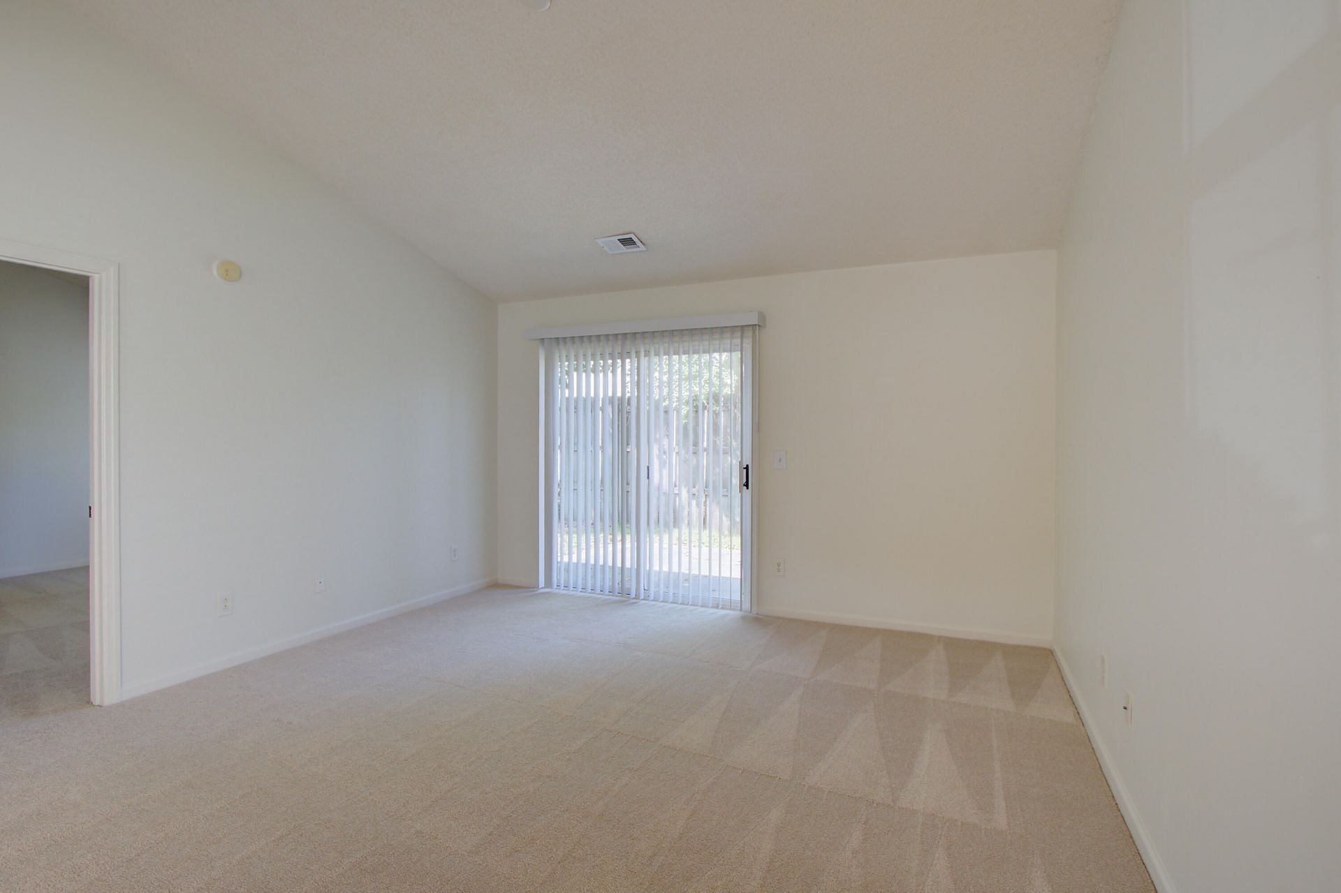 239 Dupont Way Photo 11