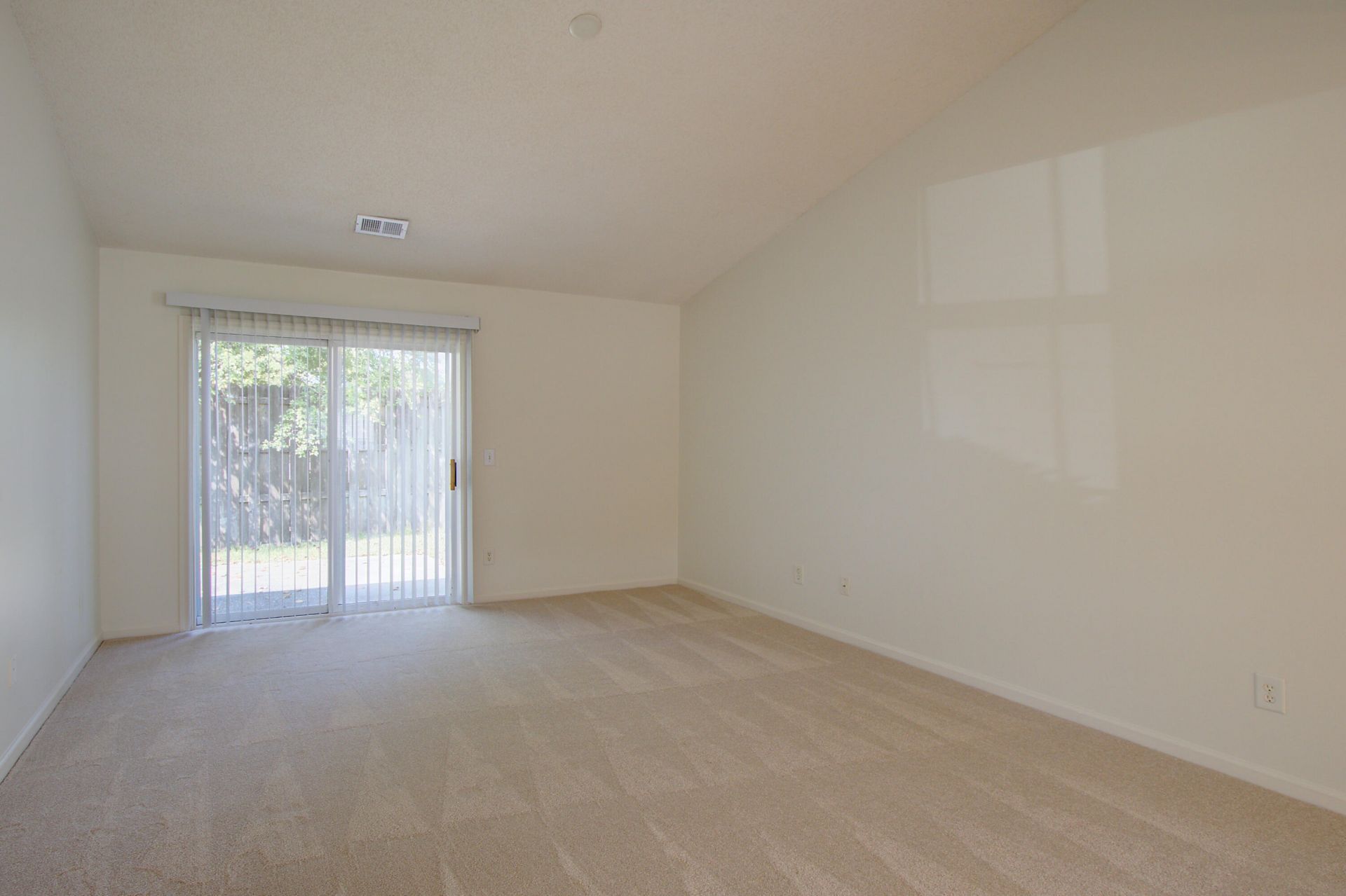 239 Dupont Way Photo 12