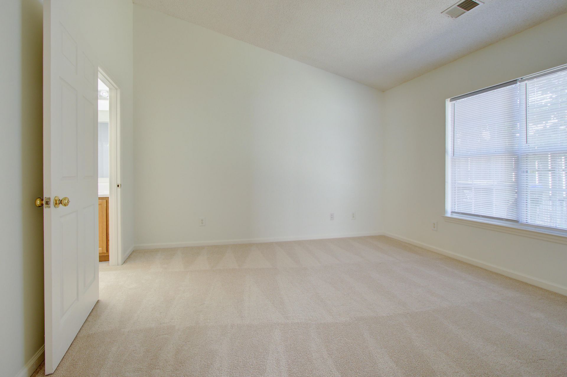 239 Dupont Way Photo 13