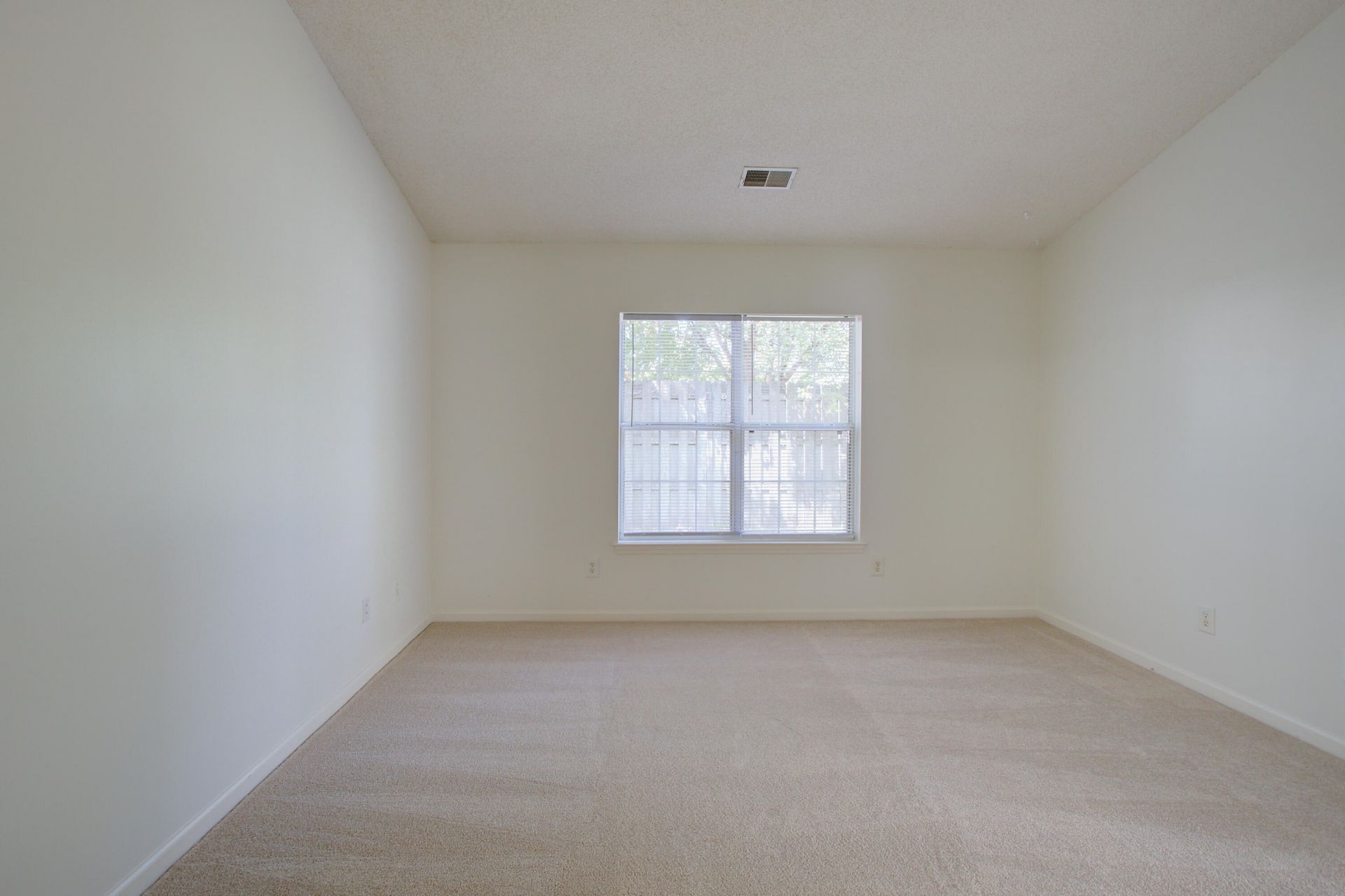 239 Dupont Way Photo 14
