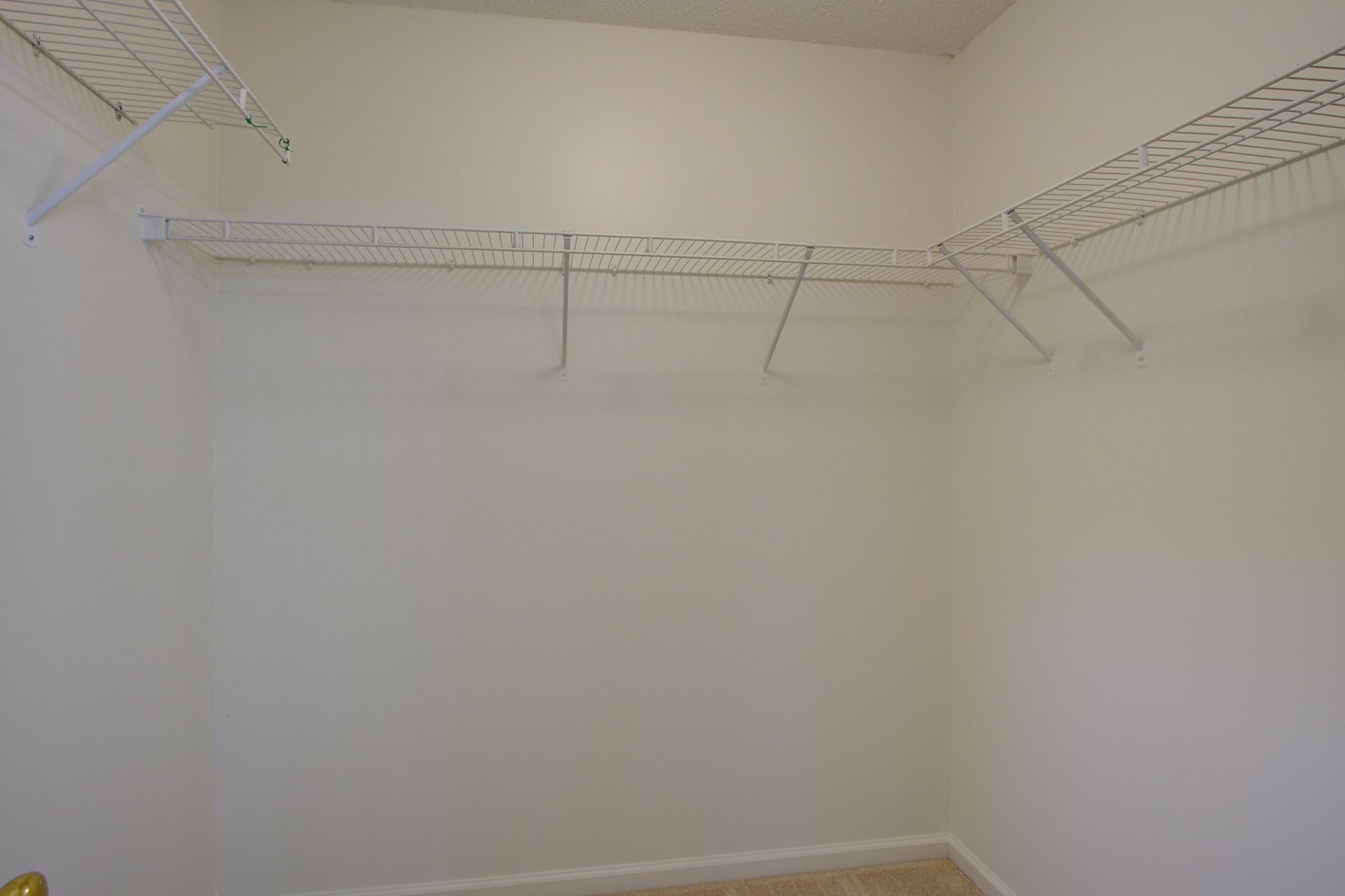 239 Dupont Way Photo 17