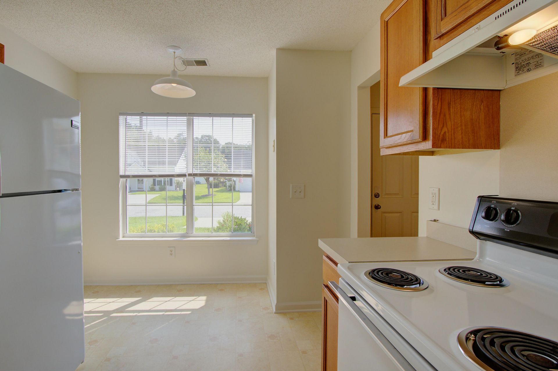 239 Dupont Way Photo 5