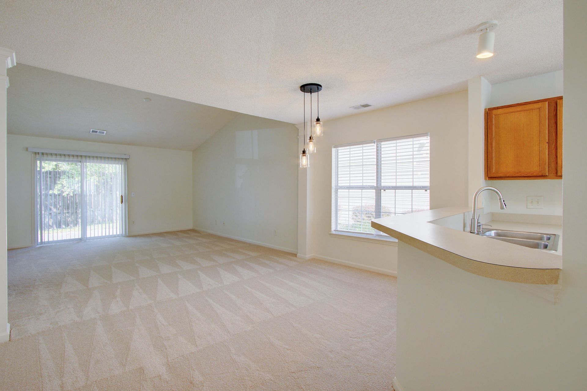 239 Dupont Way Photo 6