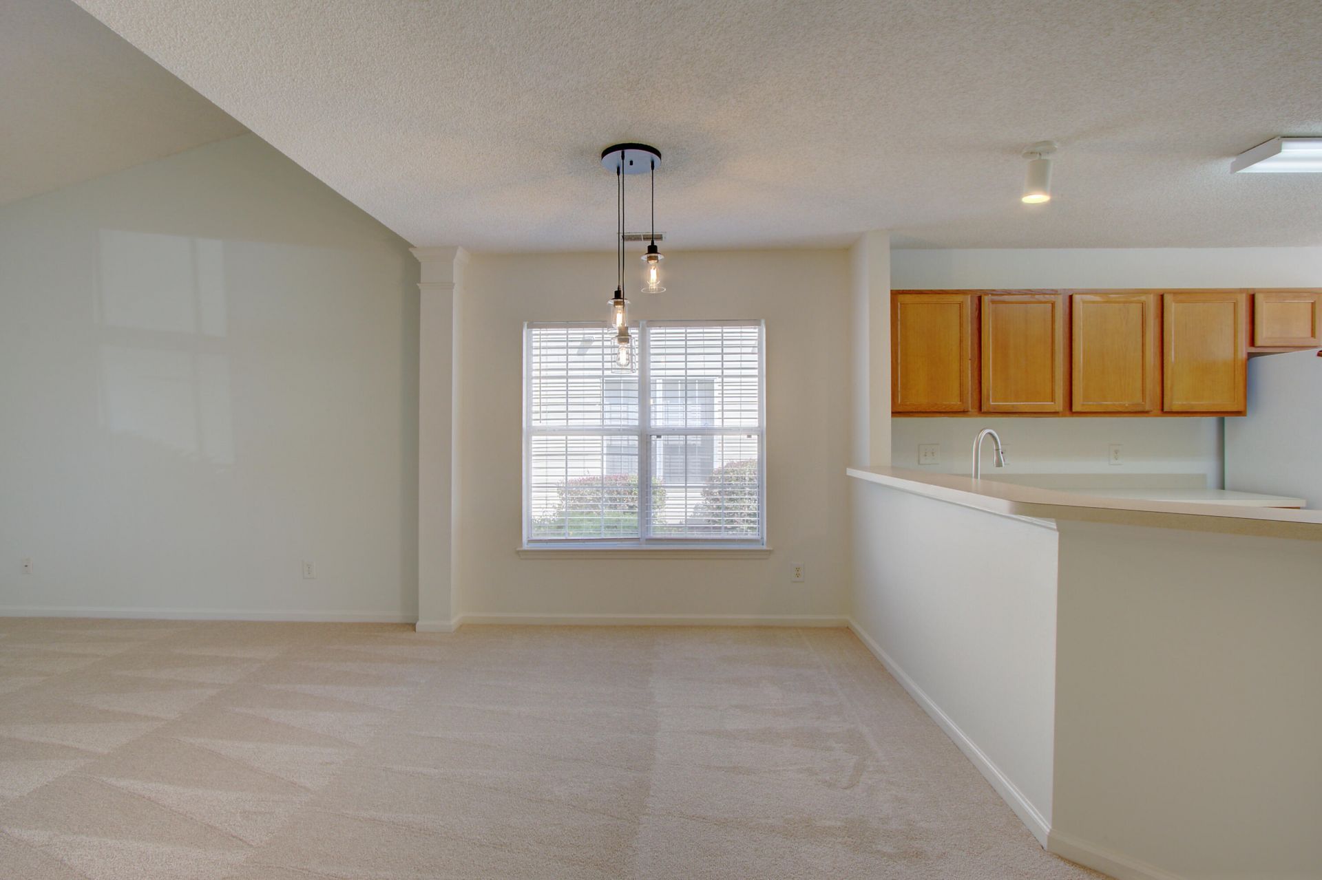 239 Dupont Way Photo 7