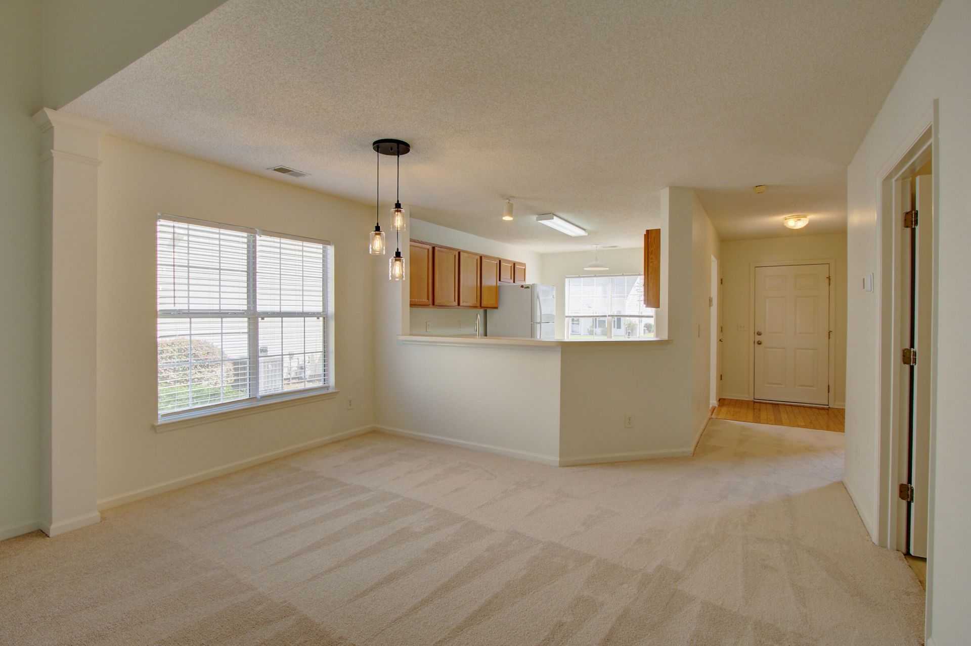 239 Dupont Way Photo 8