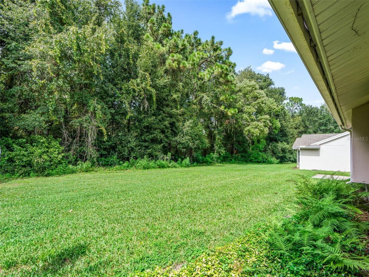 7867 SW 115th Loop , Ocala, FL 34476 Photo