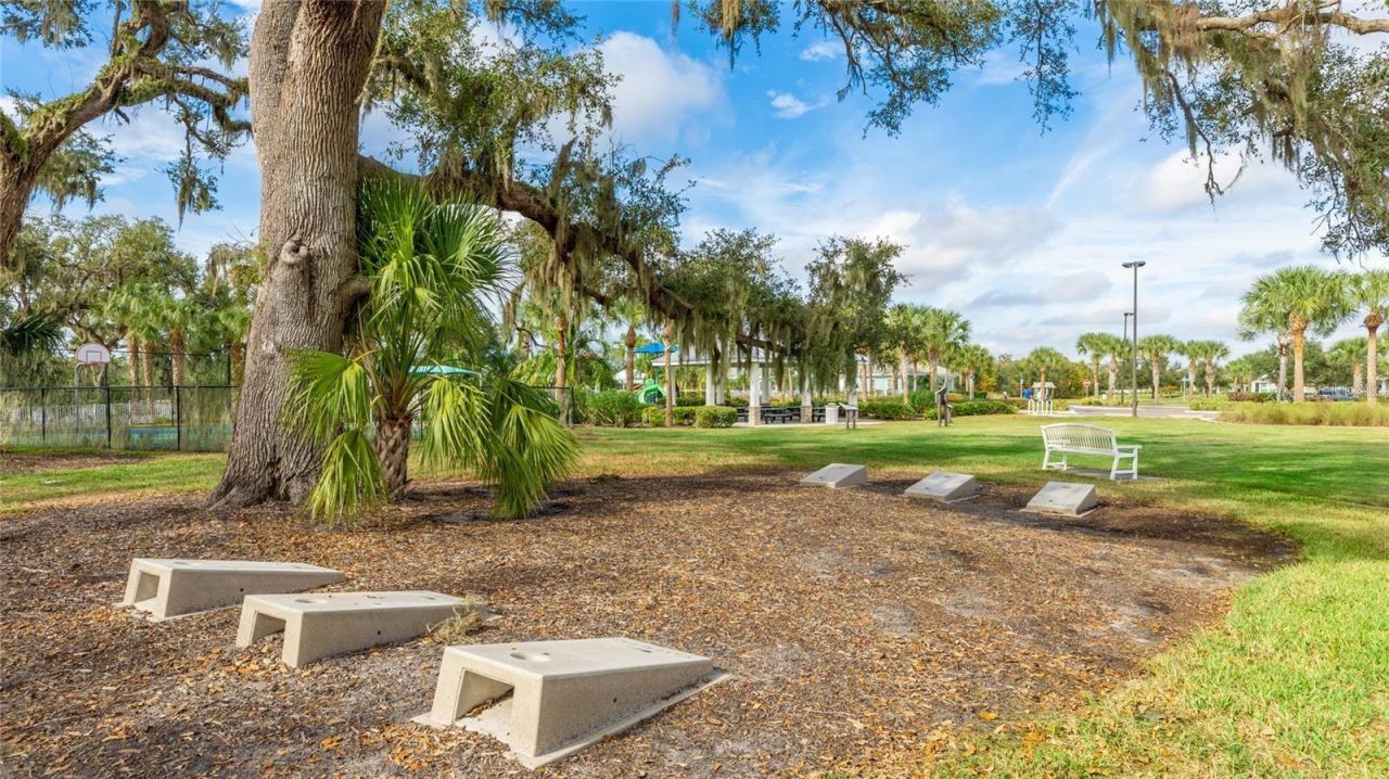 10703 Falling Leaf Court, Parrish, FL 34219 Photo