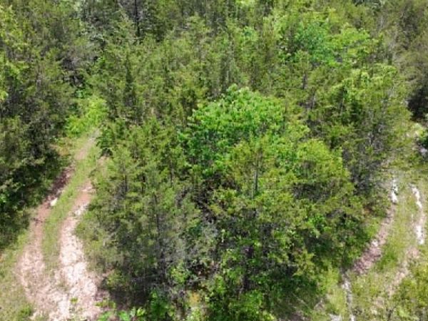 00 Mulberry Gap Rd, Sneedville, TN 37869