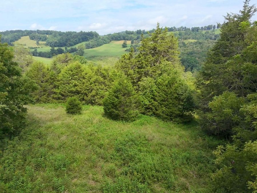 Property Image 19