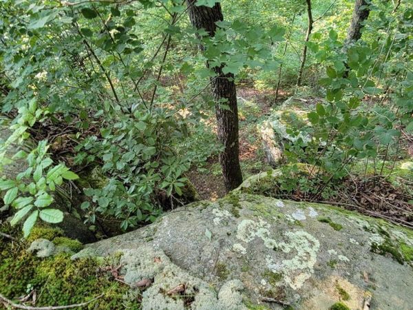 0 Preservation Drive, Lot 6, South Pittsburg, TN 37380