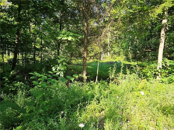 Stables Road , Fenner, NY 13035