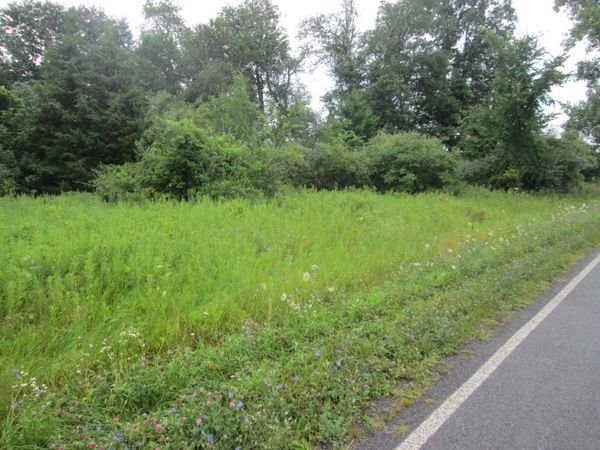 0 W Muskrat Road, Sidney, MI 48885