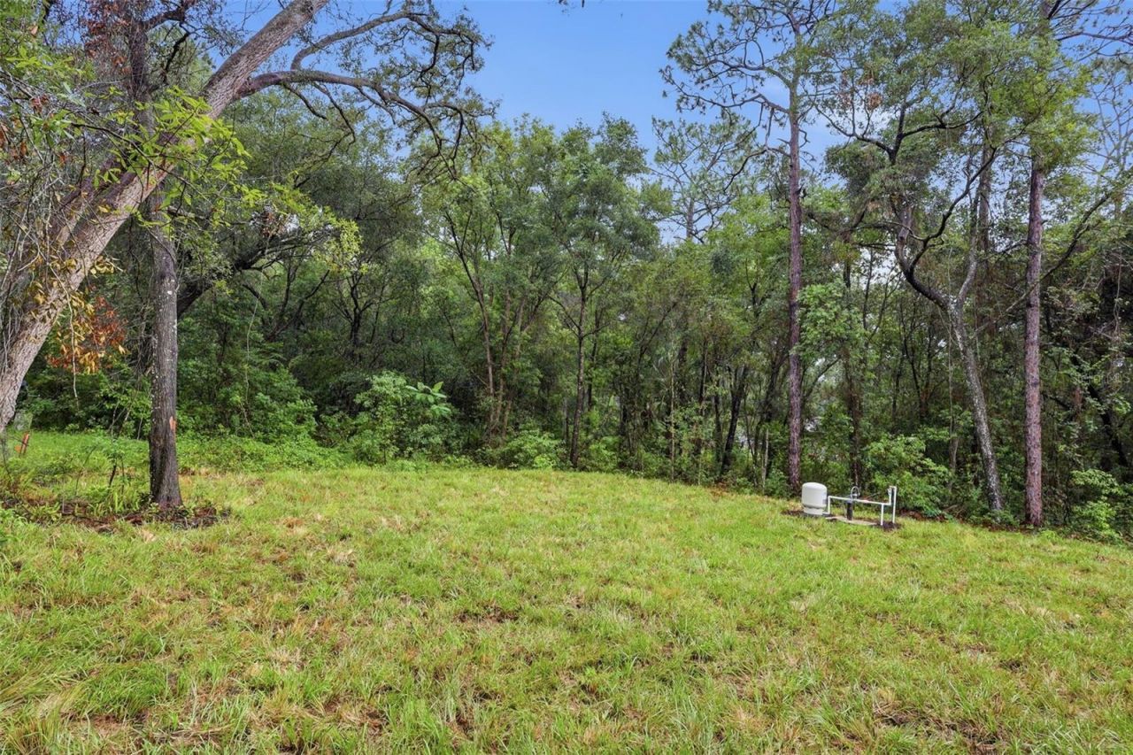 25115 Quaker Ridge Avenue , Mount Plymouth, FL 32776 Photo